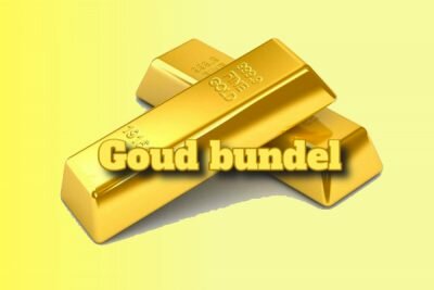 seo cursussen goud bundel