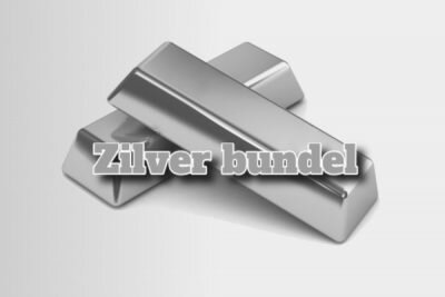 seo cursussen zilver bundel